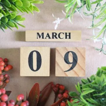 Icon of march 9 Stock Photos