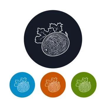 Icon  Melon in the Contours 스톡 일러스트