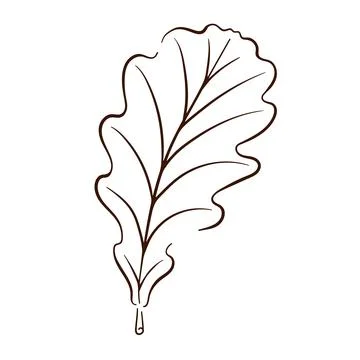 Icon oak leaf in line art style. Vector illustration isolated on a white Stock Illustration