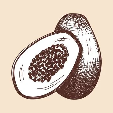 Icon Of Papaya Stock Illustration