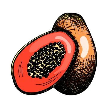 Icon Of Papaya Stock Illustration