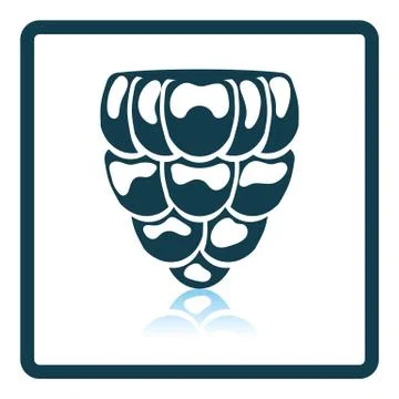 Icon of Raspberry 스톡 일러스트