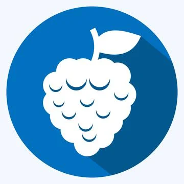 Icon Raspberry. suitable for Fruits and Vegetables symbol. long shadow style. Stock Illustration