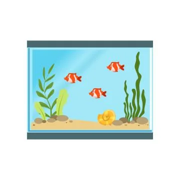 Icon of rectangular glass aquarium with orange fishes, sand, stones, shell and 库存插图