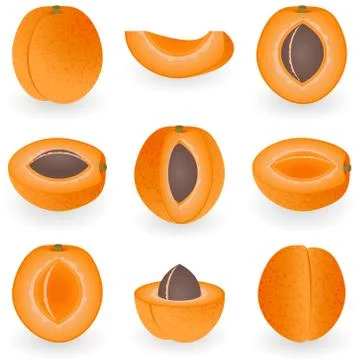 Icon Set Apricot Stock Illustration