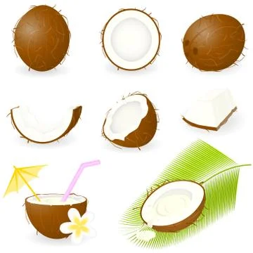 Icon Set Coconut Stock Illustration