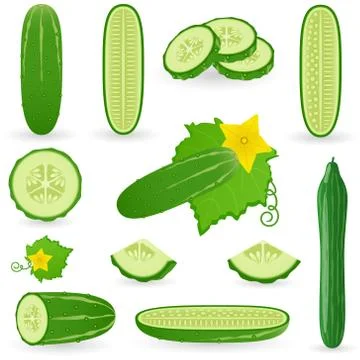 Icon Set Cucumber Ilustración de archivo