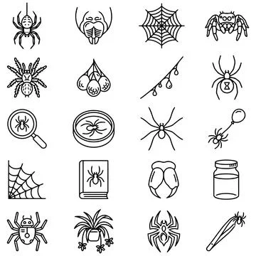 Icon Set Featuring Various Spider Species and Arachnid Related Elements Stockillustratie
