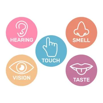 Icon set of five human senses. 5 senses symbols Stock Illustration