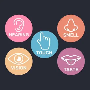 Icon set of five human senses. 5 senses symbols Stock Illustration