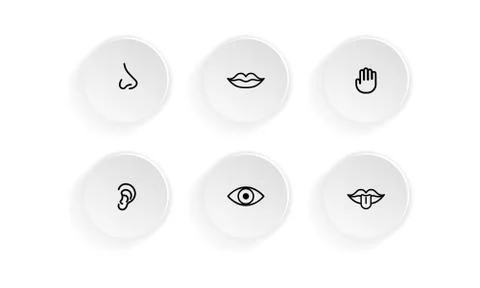 Icon set of human senses: vision, smell, hearing, touch, taste. Eye, nose, ear Stock Illustration