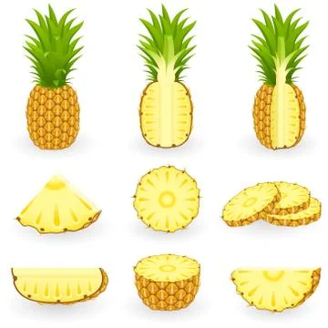 Icon Set Pineapple Ilustración de archivo