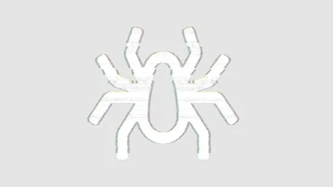 Icon spider is distorted. Glitch. Noise, chromatic aberration, geometric Stock Footage 304648859