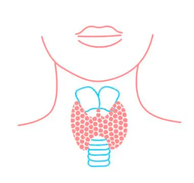 Icon of thyroid structure Stock Illustration