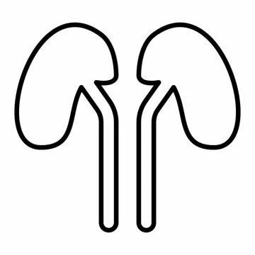 Icon Vector of Kidney - Line Style Stock Illustration
