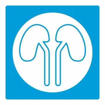 Icon Vector of Kidney - White Moon Style Stock Illustration