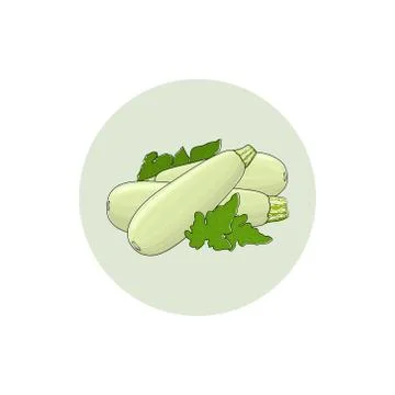 Icon Zucchini Courgette Vegetable 스톡 일러스트