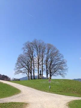 Iconc set of trees surrounding statue on a hill Stock Photos