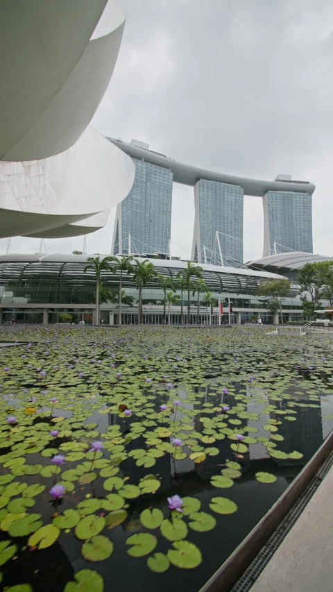 Iconic ArtScience Museum lotus architecture in Singapore Video stock 343672548
