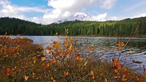Iconic Autumn View of Mount Rainier and Reflection Lakes, Washington State, USA Stock Footage 332139408