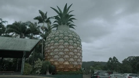 Iconic Big Pineapple Landmark on Cloudy Day at Sunshine Coast, Queensland, Austr Stock Footage 341290337