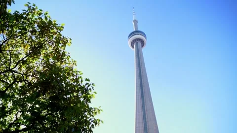 Iconic CN Tower soars into clear blue sky with tree branches in foreground Видео 289452209