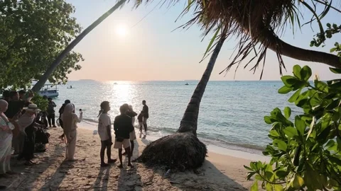 Iconic coconut tree silhouette during golden sunset at Tanjung Gelam Beach Stock Footage 342315622