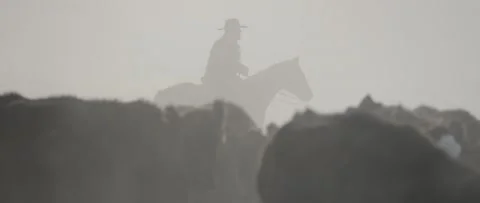Iconic Cowboy Stock Footage 238406645