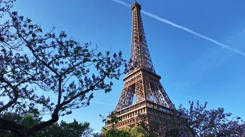 Iconic Eiffel Tower framed by spring blossoms, Paris Vidéo 336551705