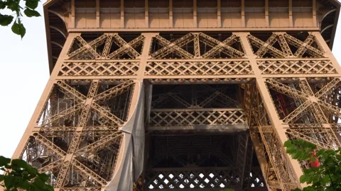 Iconic Eiffel Tower Wrought Iron Structure Framed by Green Tree Foliage Stock Footage 335119135