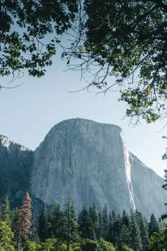 The iconic El Capitan from below during the sunny summer day. Yosemite Valley Stock Photos