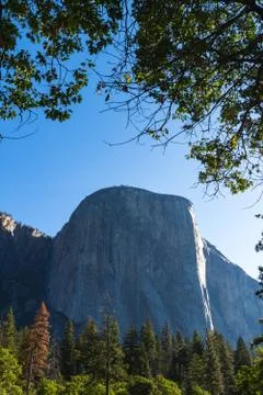The iconic El Capitan from below during the sunny summer day. Yosemite Valley Stock Photos