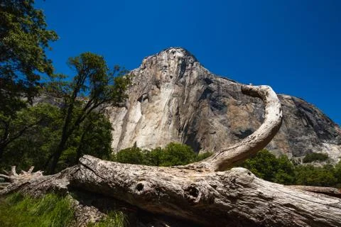 The iconic El Capitan from below during the sunny summer day. Yosemite Valley Stock Photos