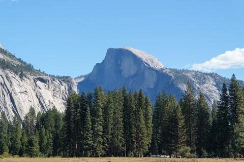 Iconic Half Dome over pine forest and meadow on a clear day in Yosemite Stock Photos