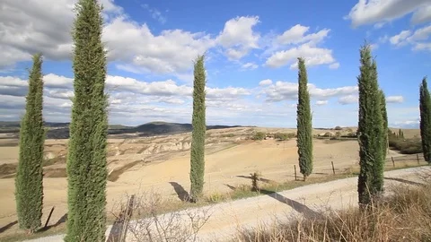 Iconic landscape of Senese clays, with hill, house and cypress, Val d'Orcia, Stock Footage 81159005