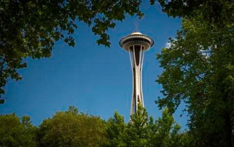 Iconic Seattle Space Needle Framed By Trees Stock Photos