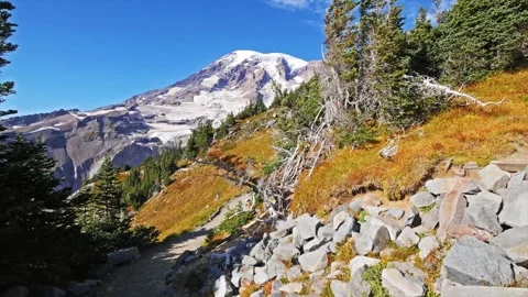 Iconic Skyline Trail Hiking Path toward Mount Rainier and Panorama Point, Washin Stock Footage 332139942