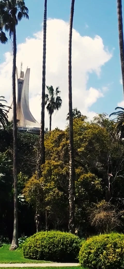 Iconic View of Martyrs' Memorial Framed by Hamma Botanical Garden Stock Footage 333577490
