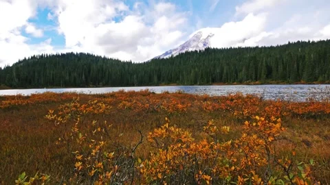 Iconic View of Mount Rainier Reflected in Reflection Lakes During Autumn Stock Footage 332139453