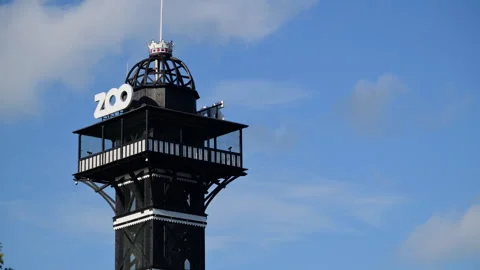 Iconic zoo observation tower flying the flag of Denmark on a clear day. Stock Footage 325220637