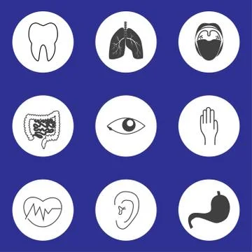 Icons of human organs Stock Illustration