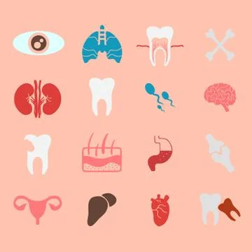 Icons of internal human organs flat design Stock Illustration