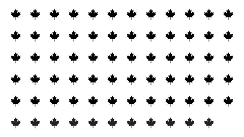 Icons of maple increasing from left to right, infographic background animation Stock Footage 286757441