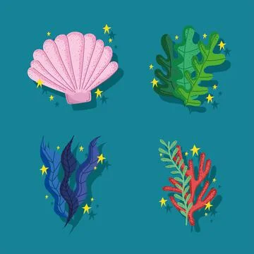 Icons seaweed and shell Stock Illustration