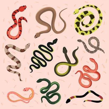 Icons set of snakes 库存插图