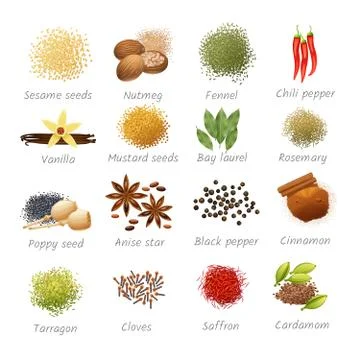 Icons Set Of Spices Stock Illustration