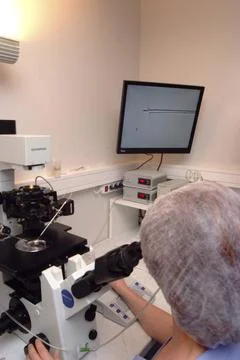  Icsi Medically assisted procreation centre. Biology laboratory. Selection... Stock Photos