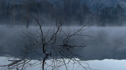 Icy branch on the lake Stock Footage 45657318