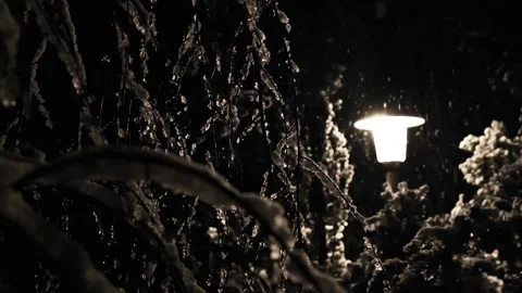 Icy branches and snowfall in the light of a lantern on a dark sky background. Stock Footage 312068431