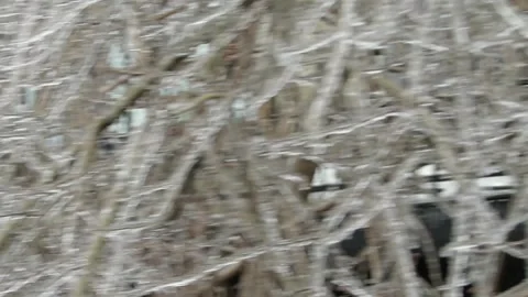 Icy branches during an ice storm in Montreal, Quebec Canada Stock Footage 252099888